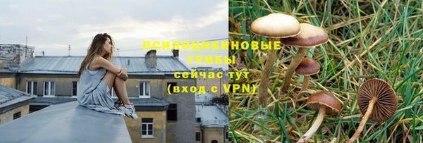 кокаин VHQ Новодвинск