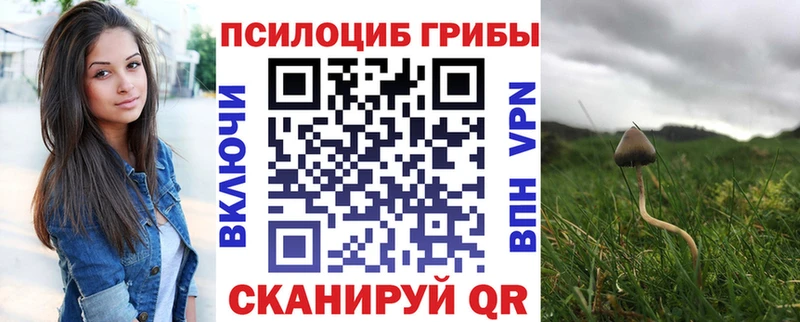 Псилоцибиновые грибы прущие грибы  Купить закладки  Заозёрный 